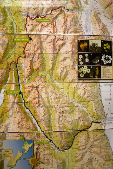 c0179351_1012349.jpg
