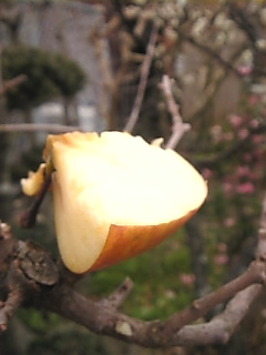 c0069552_8521248.jpg
