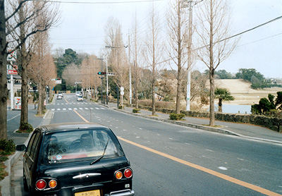 b0008655_1393469.jpg