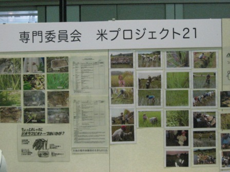c0196062_10242561.jpg
