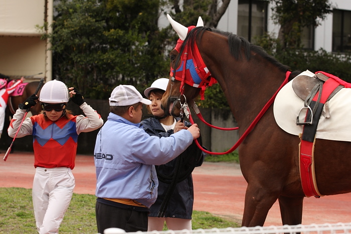 2009年2月28日（土） 高知競馬 1R 3歳2_a0077663_18225369.jpg