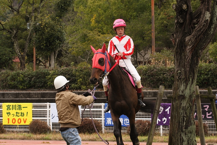 2009年2月28日（土） 高知競馬 1R 3歳2_a0077663_1823130.jpg