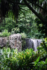 Botanic Garden_c0166866_1551341.jpg