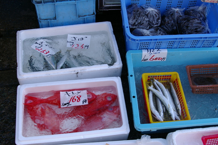 干物作りにはまる③佐島港の鮮魚、〆て３０００円_c0014967_14374928.jpg