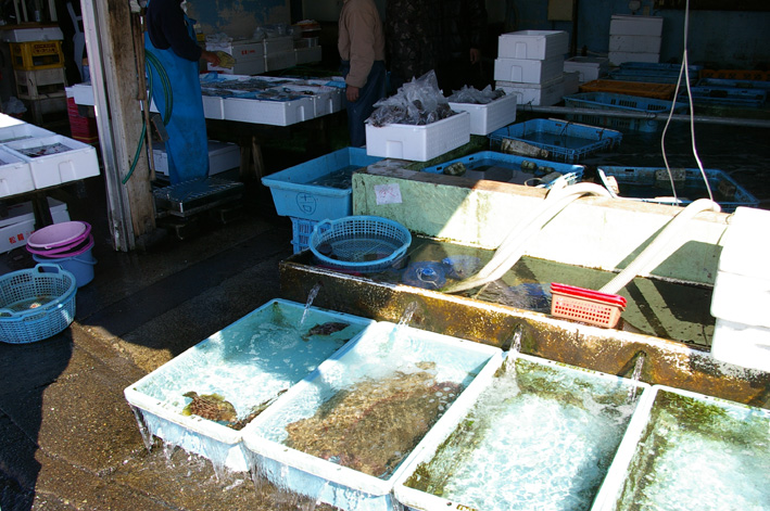 干物作りにはまる③佐島港の鮮魚、〆て３０００円_c0014967_1439063.jpg