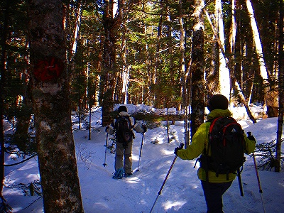 f0182173_1313228.jpg