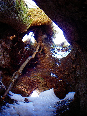 f0182173_13333371.jpg