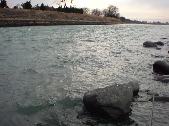 c0157482_20132026.jpg