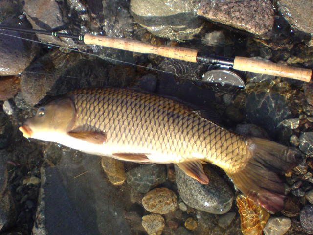 c0157482_20333930.jpg