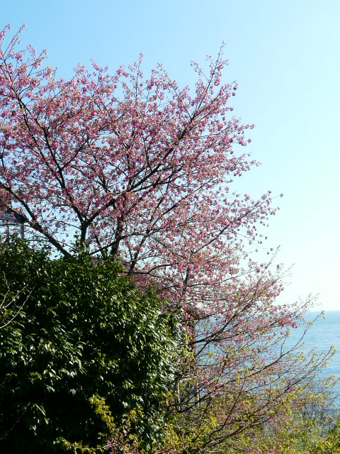 e0145782_17425592.jpg