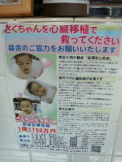さくちゃん募金_a0075684_13321100.jpg