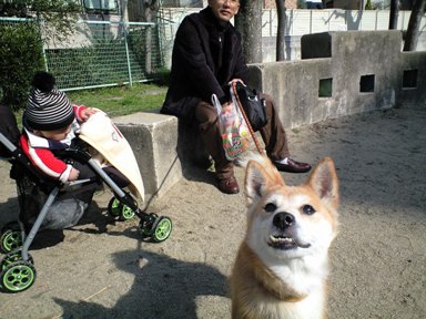 お散歩~お散歩~~♪_e0123286_10502675.jpg