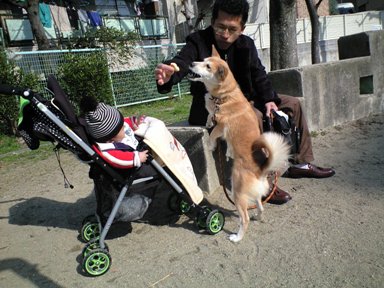お散歩~お散歩~~♪_e0123286_10505191.jpg