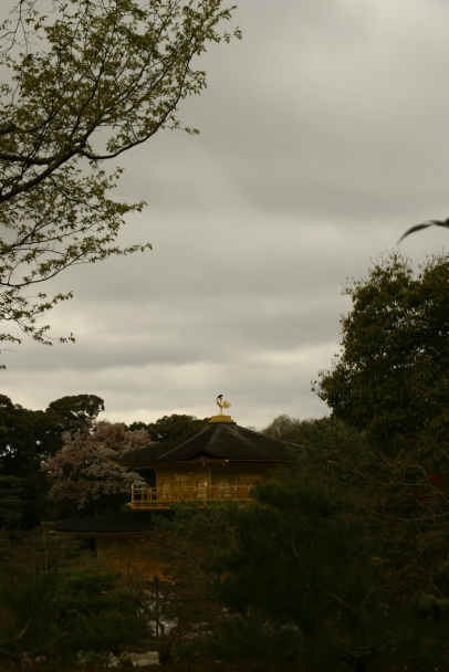 金閣寺(北山鹿苑寺)_f0189086_18432945.jpg