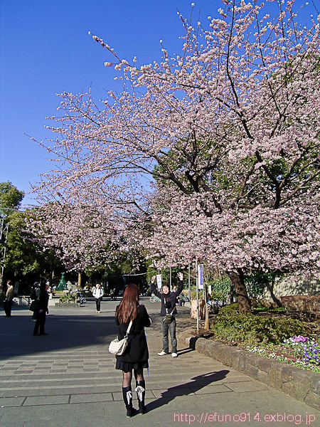 c0133189_0472986.jpg