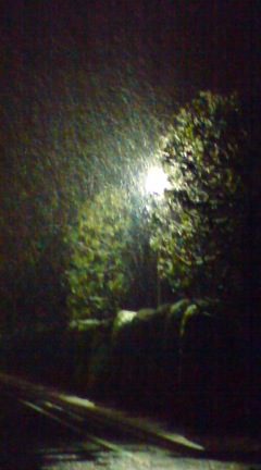雪です_a0024690_2026268.jpg
