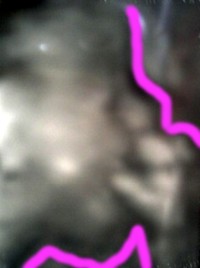 f0008991_2156829.jpg