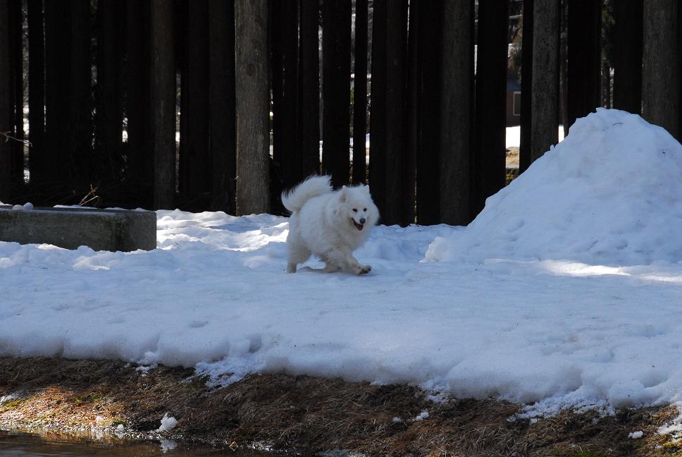 雪遊びに行ってきました♪_a0049296_5113546.jpg