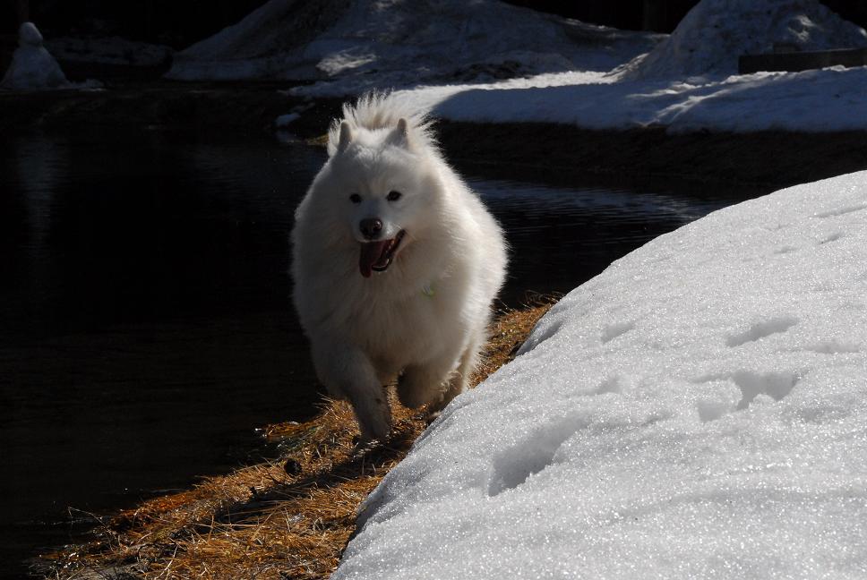 雪遊びに行ってきました♪_a0049296_574794.jpg