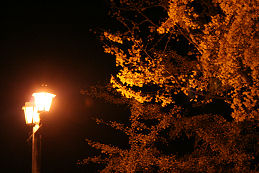 e0073397_14102194.jpg