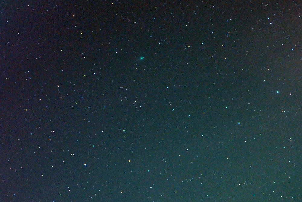 カワセミ・ホバリング/ルーリン彗星_b0024798_11125350.jpg