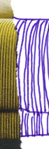 090303_e0168301_1124487.gif