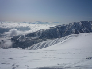 e0070606_234472.jpg