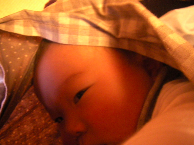 f0038407_20492927.jpg
