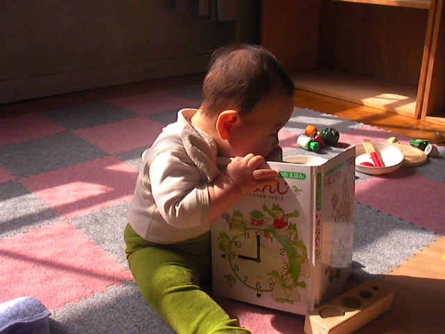 f0038407_501884.jpg