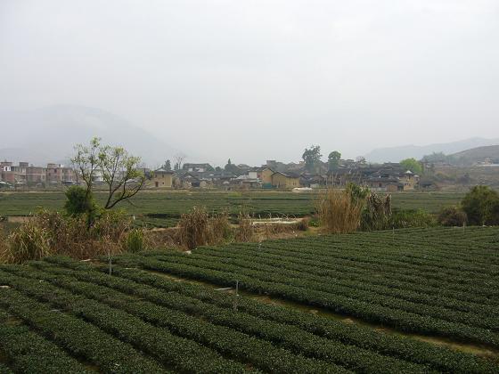 b0112909_12284328.jpg