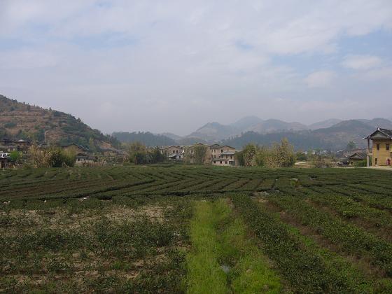 b0112909_12291288.jpg