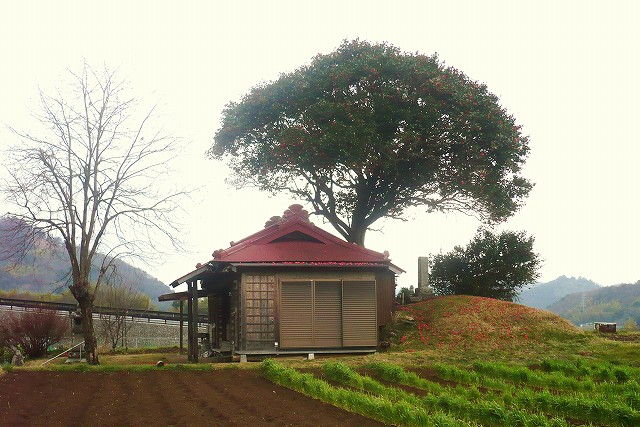 f0182513_00251.jpg