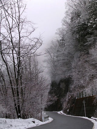 f0036716_23313153.jpg
