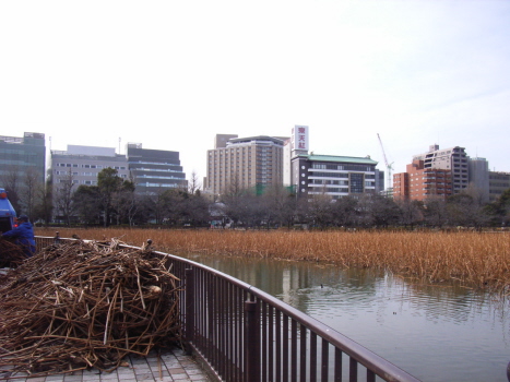 f0108825_19391079.jpg