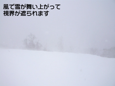 d0087129_19193360.jpg