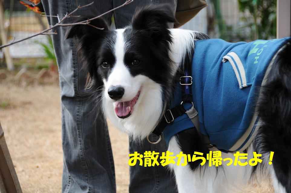 c0147241_2341564.jpg