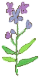 f0158941_18293795.gif
