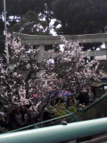 090302 箱根に来てます☆_f0164842_0414251.jpg