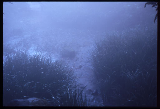 c0095644_13401067.jpg
