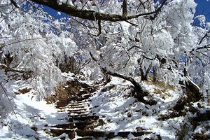 雪の表丹沢_c0171849_17272139.jpg