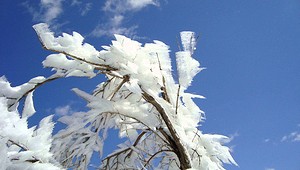雪の表丹沢_c0171849_1727913.jpg