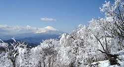 雪の表丹沢_c0171849_17292744.jpg