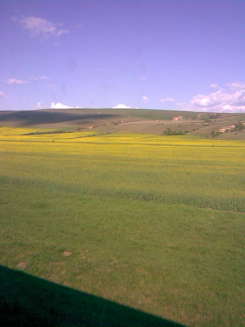 a0111458_37125.jpg