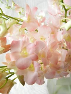 春色のアプリコットロマンス Atelier Eucharis ー ウェディングブーケとパリスタイルの花 ー