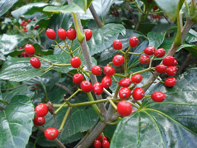 b0149867_17383522.jpg