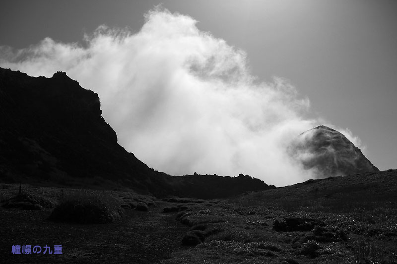 f0173067_1775224.jpg