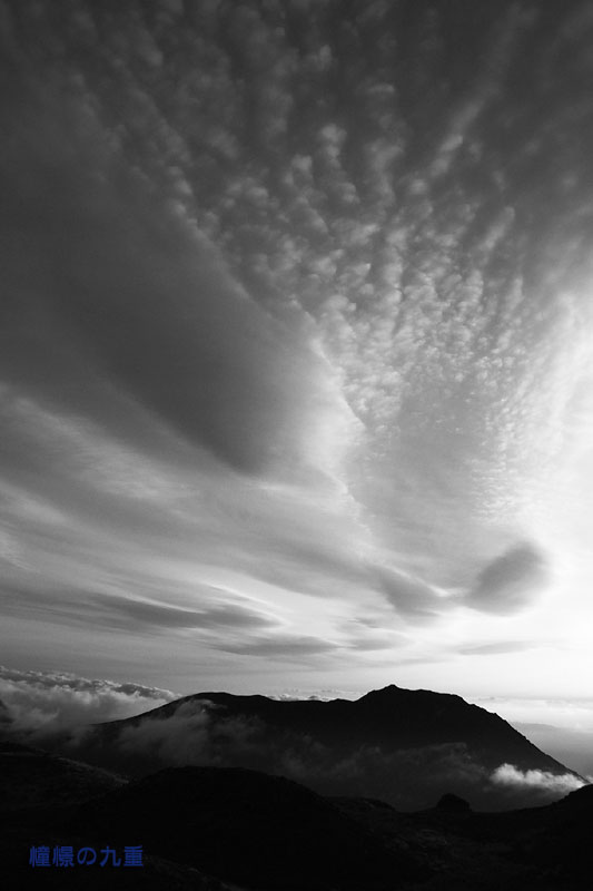f0173067_931385.jpg