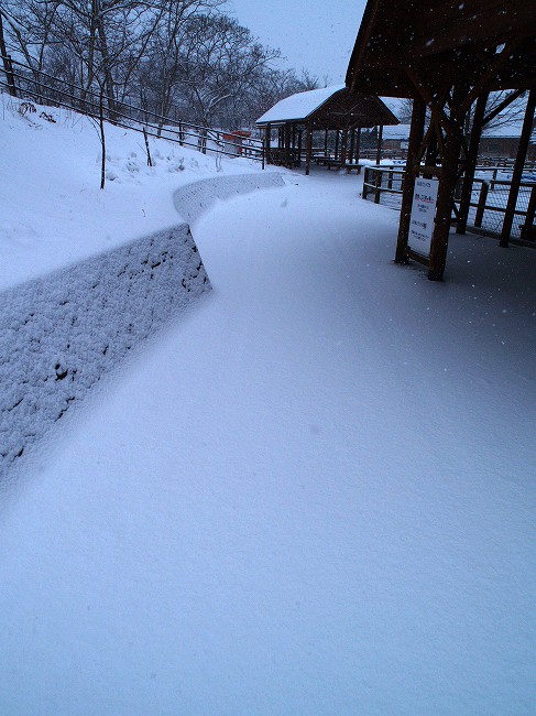 雪のふれあいコーナー_b0145677_20183648.jpg