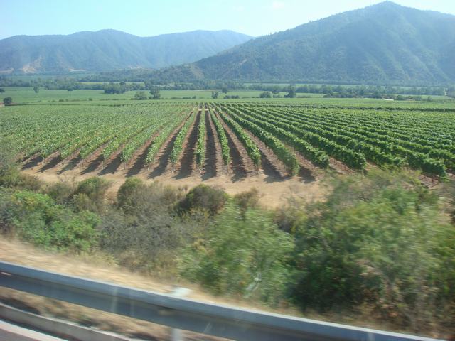 d0100880_3485548.jpg