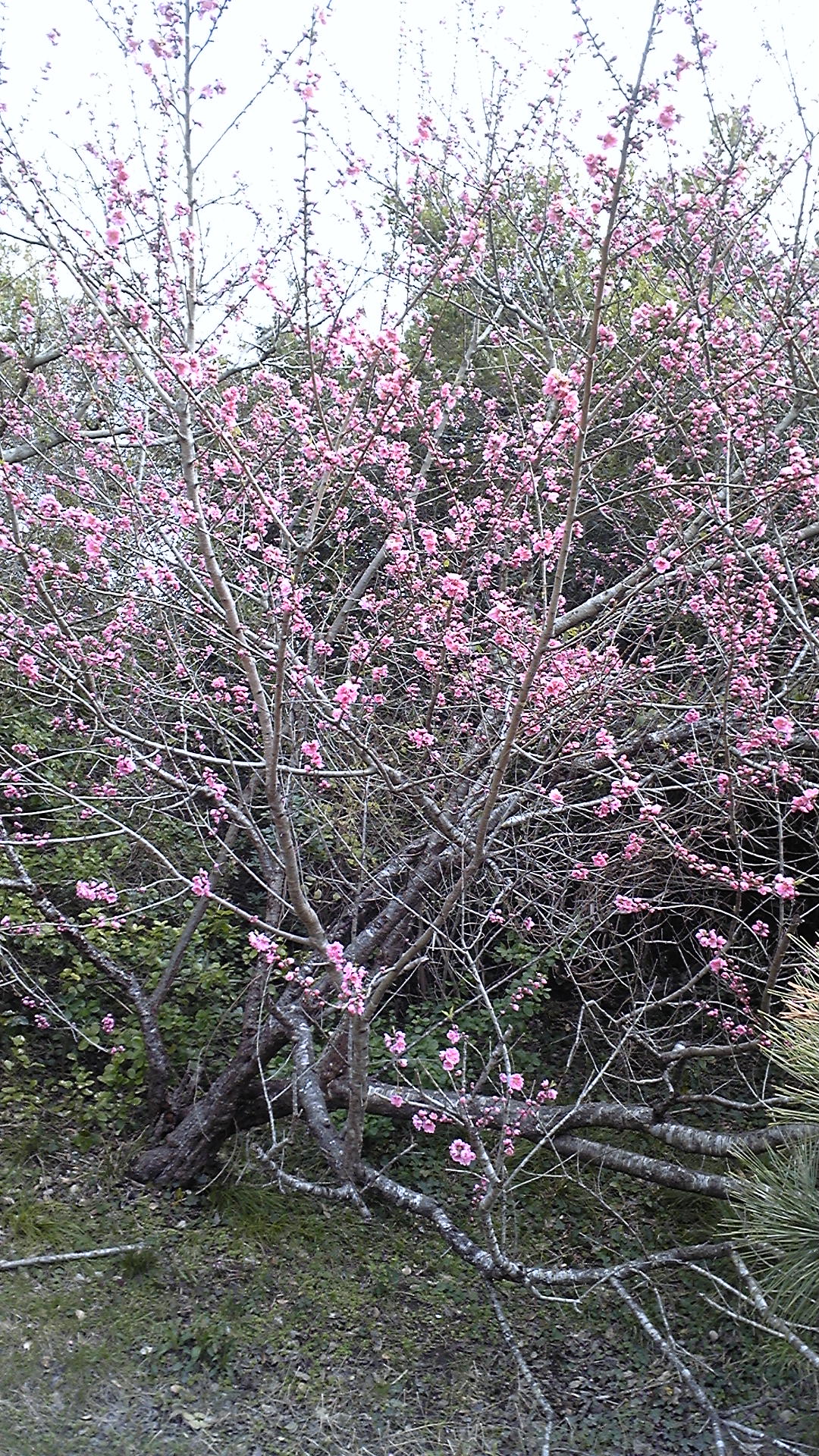 b0147481_13125556.jpg